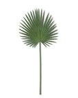 33 In Palm Leaf Stem