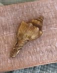Brass Conch Shell Paperweight