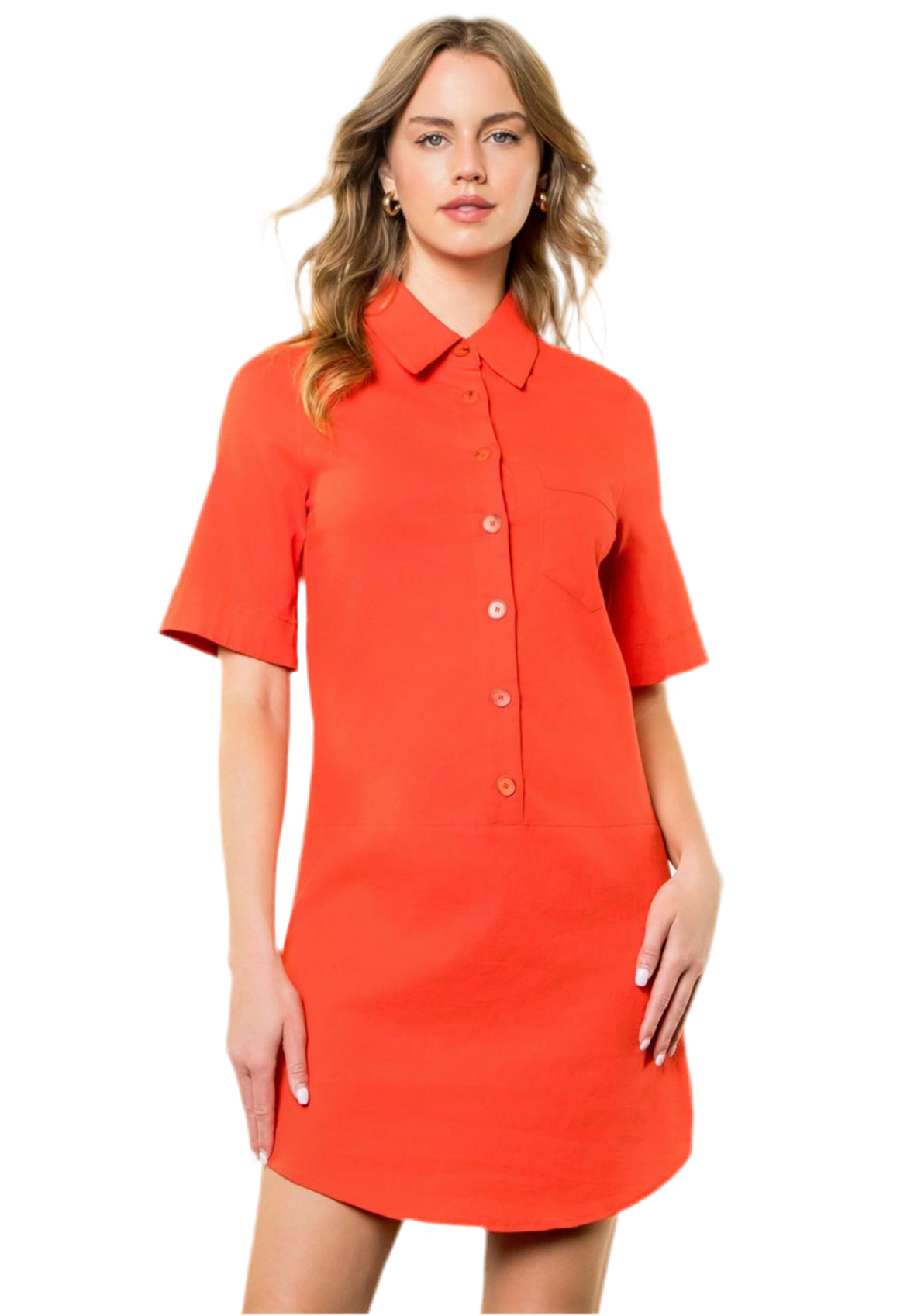 Short Sleeve Collared Dress