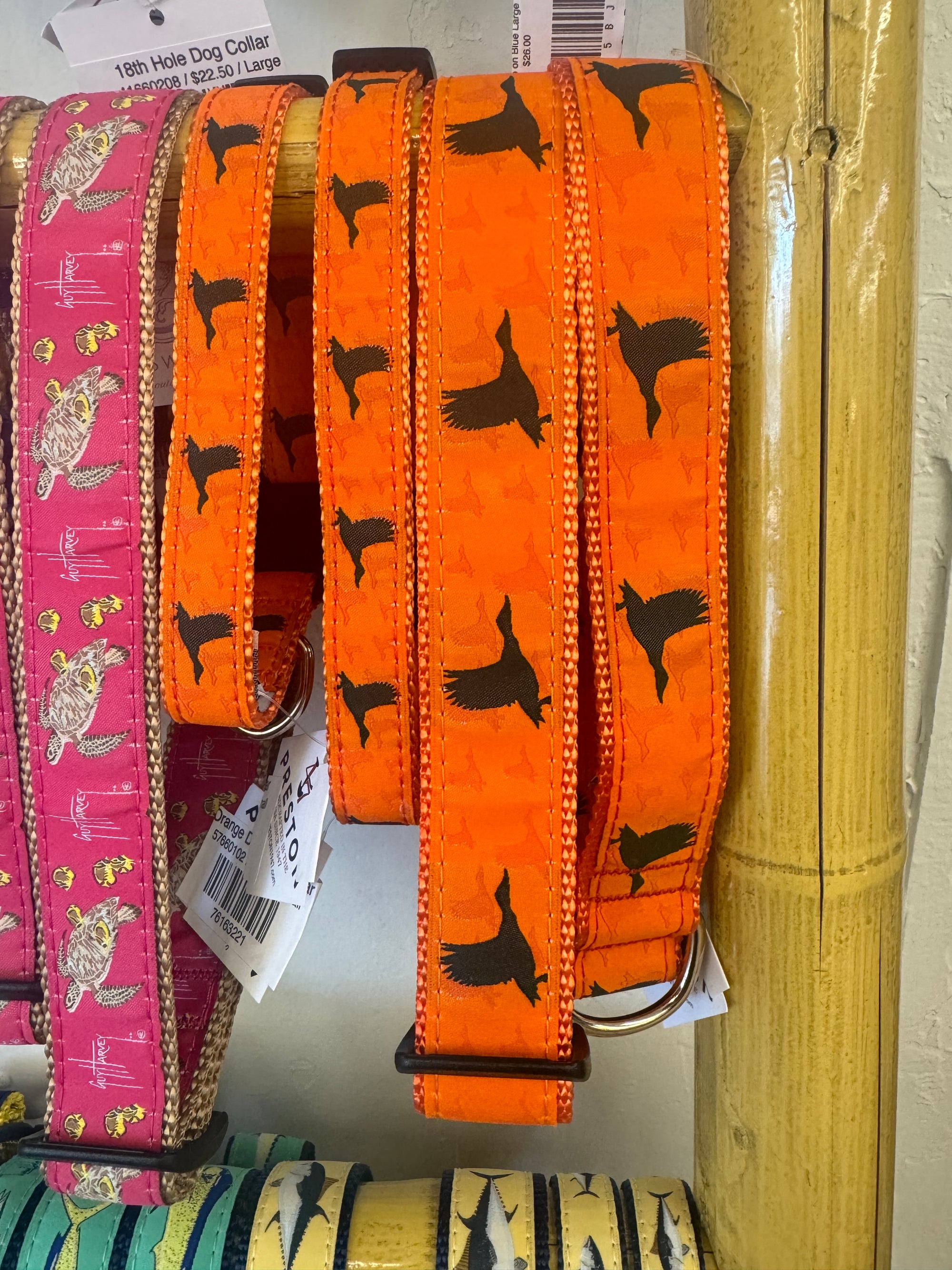 Orange Duck Dog Collar