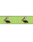 Pelican Dog Collar