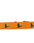Orange Duck Dog Collar
