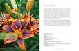 Lilies: Beautiful Varieties for Home & Garden - Chatsworth Boutique