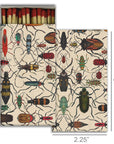 Matches - Mixed Beetles - Chatsworth Boutique