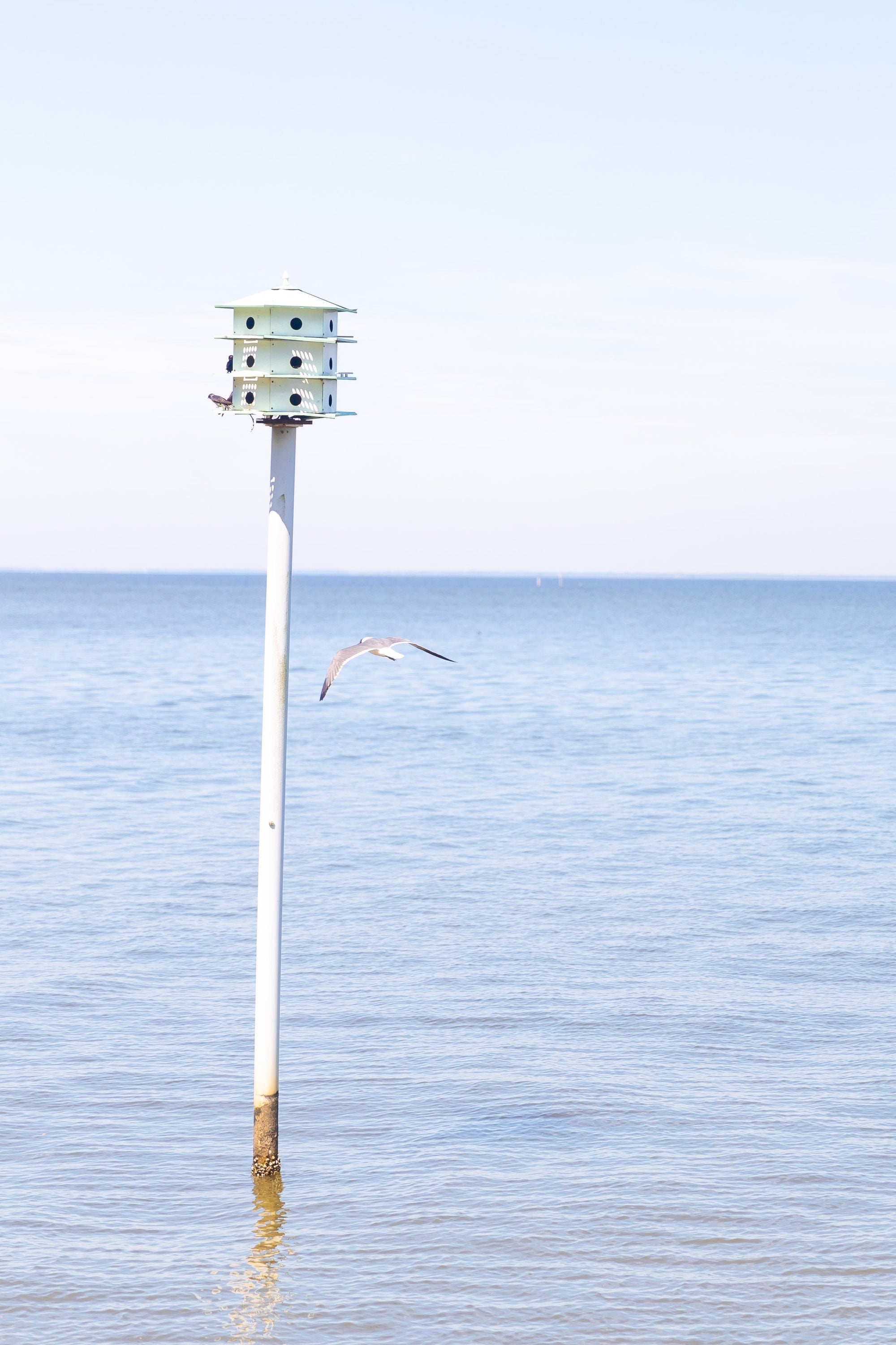Break Up Your Drive: Fairhope, AL, the Ideal 30A Pit Stop