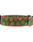 Pumpkin Dog Collar