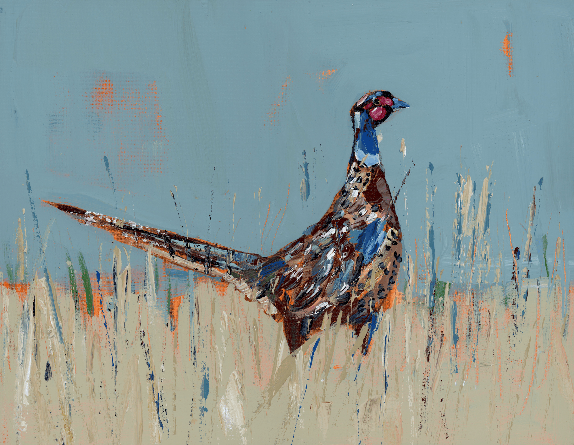 "A Pheasant's Pride" on paper - Chatsworth Boutique