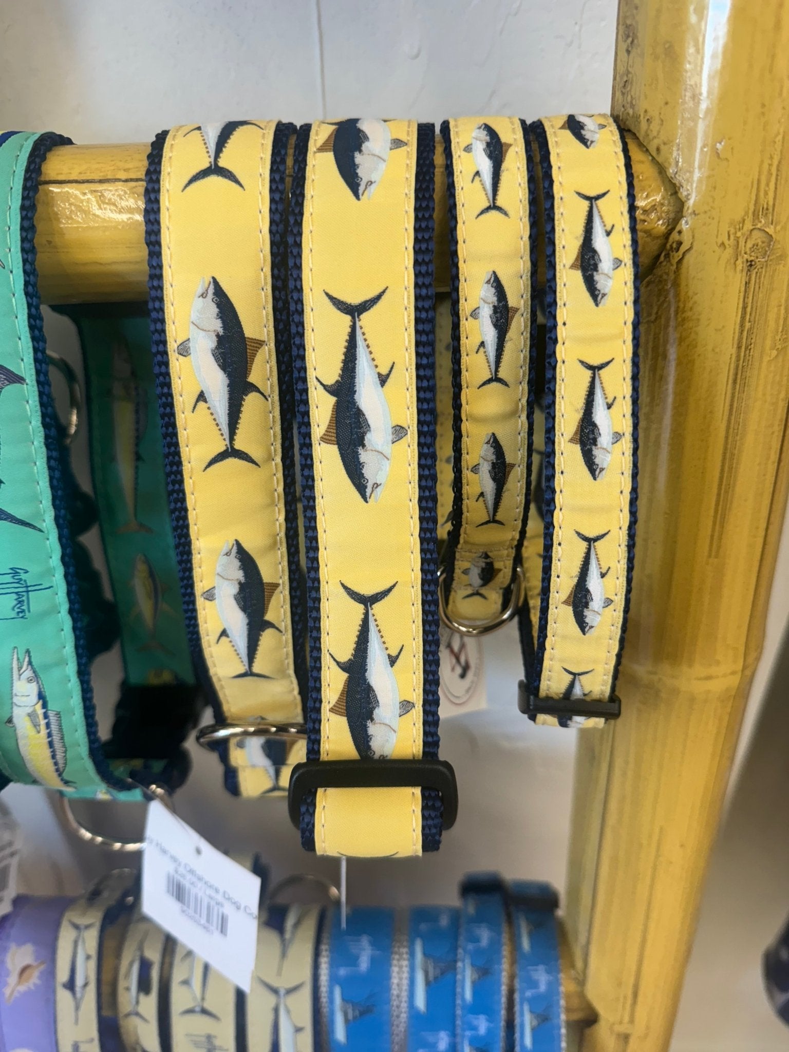 Atlantic Blue Fin Tuna Dog Collar - Chatsworth Boutique