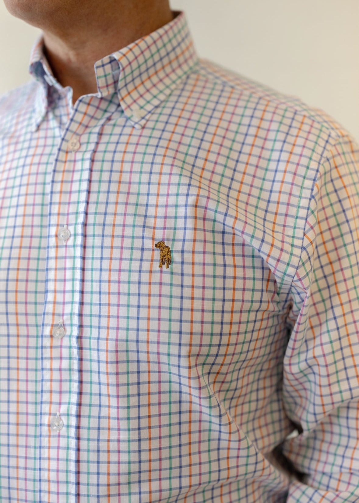 Beach Ball Check - Chatsworth Boutique