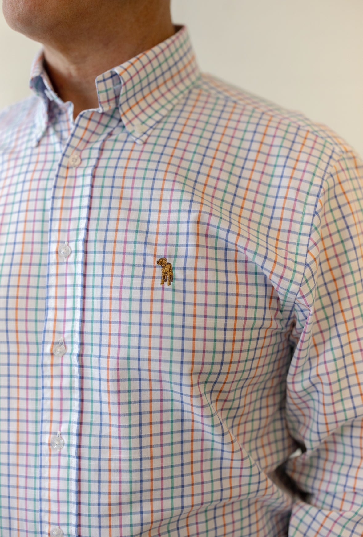 Beach Ball Check - Chatsworth Boutique