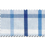 Blue Ridge Check Button Down - Chatsworth Boutique