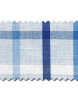 Blue Ridge Check Button Down - Chatsworth Boutique