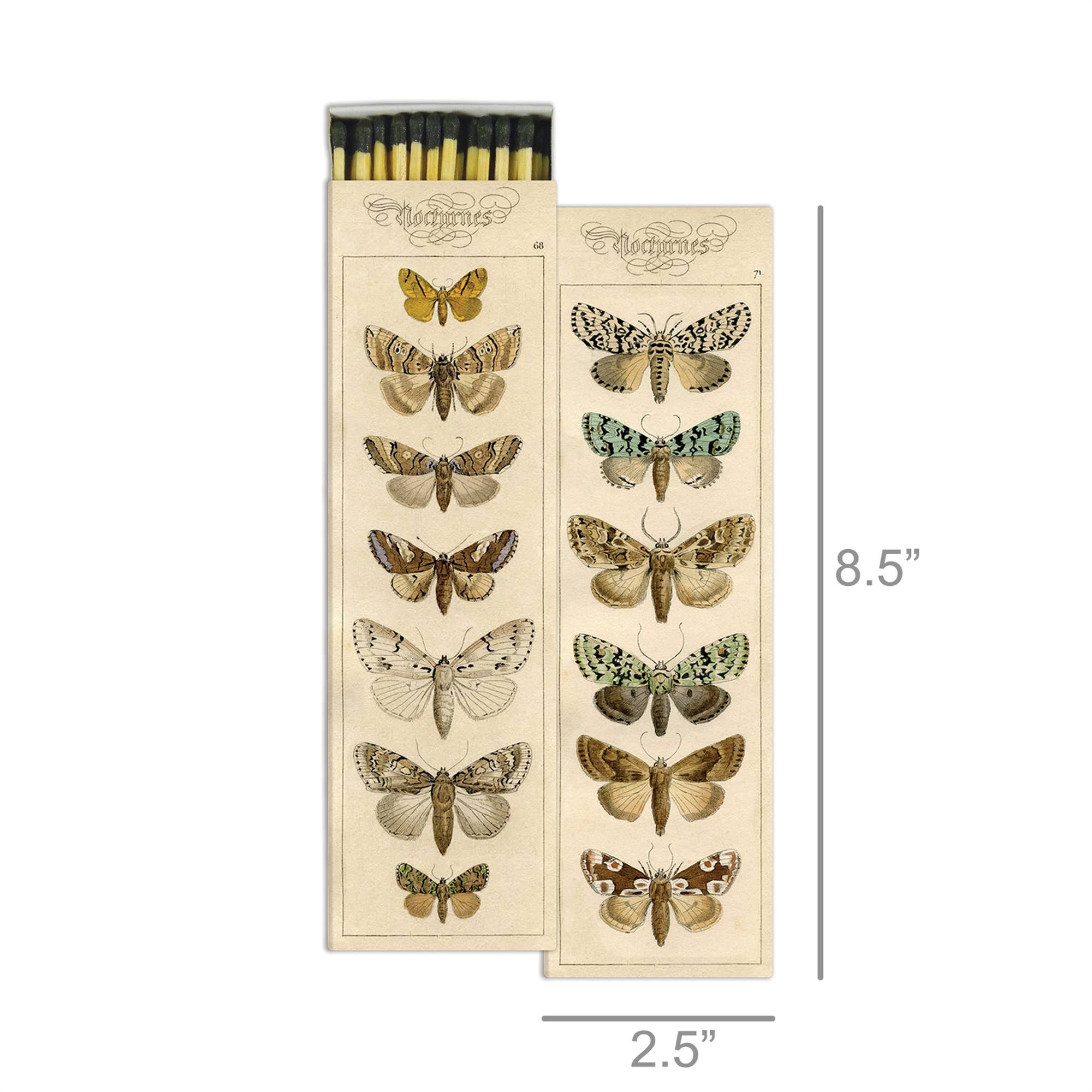 Matches, Moths, Detail - HomArt