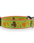 Squirrel Dog Collar