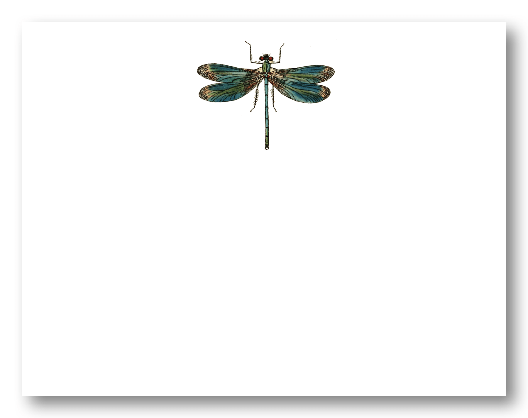 Dragonfly Fce - Chatsworth Boutique