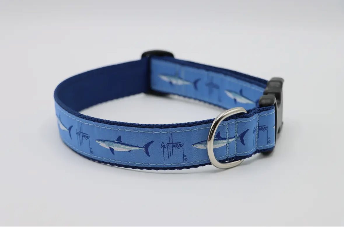 Guy Harvey Mako Dog Collar - Chatsworth Boutique