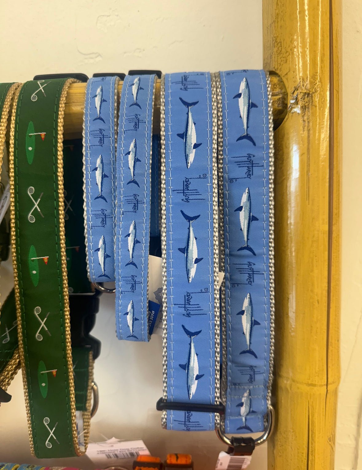 Guy Harvey Mako Dog Collar - Chatsworth Boutique