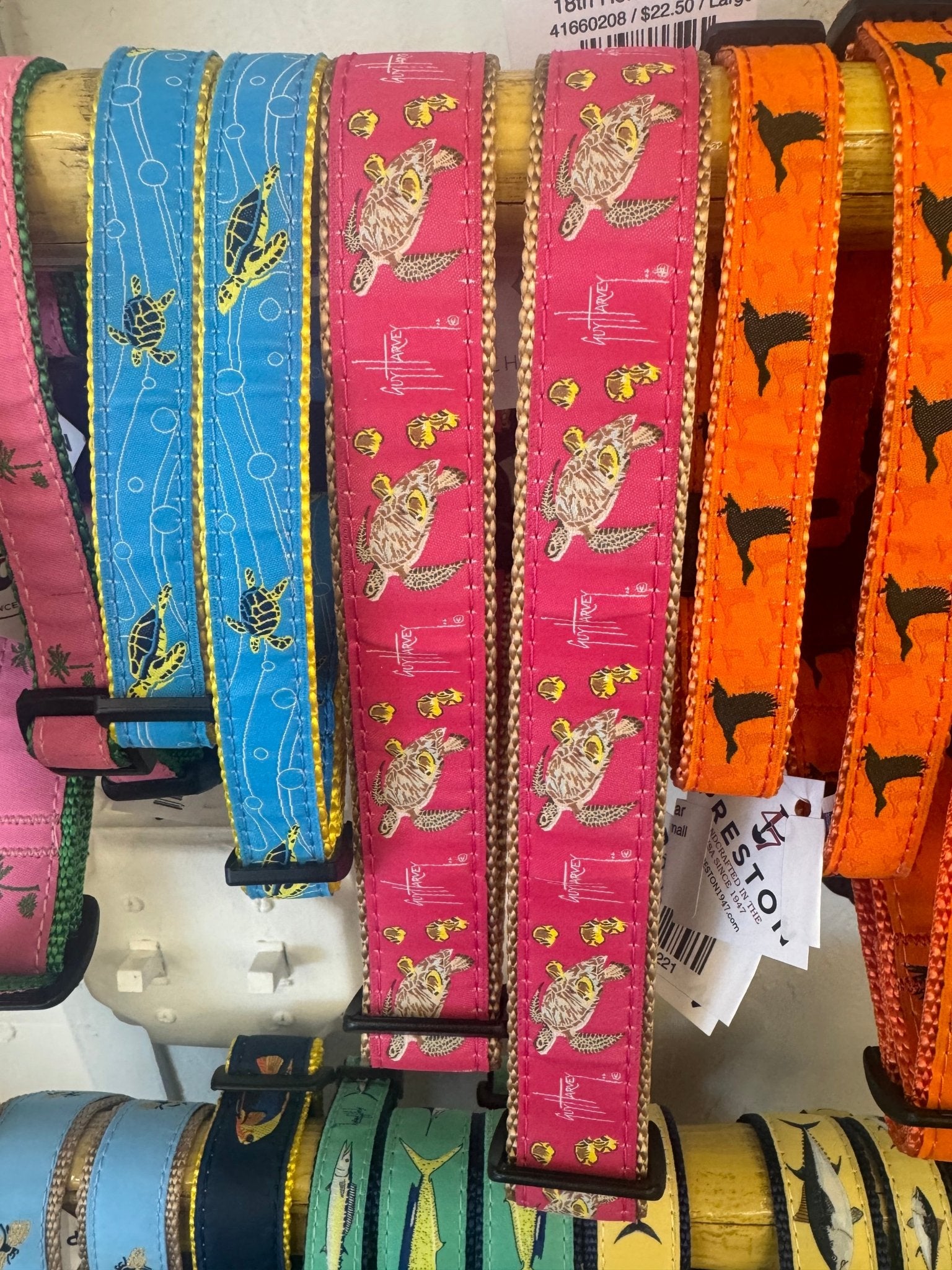 Guy Harvey Sea Turtle Dog Collar - Chatsworth Boutique