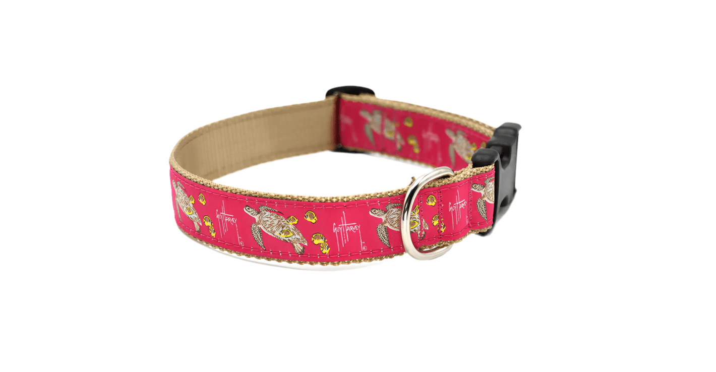 Guy Harvey Sea Turtle Dog Collar - Chatsworth Boutique
