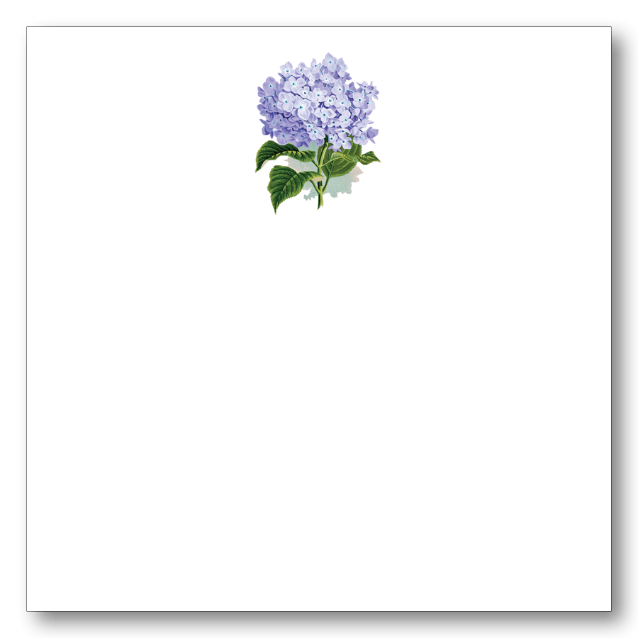Hydrangea Blue - Chatsworth Boutique