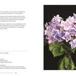 Hydrangeas: Beautiful Varieties for Home & Garden - Chatsworth Boutique