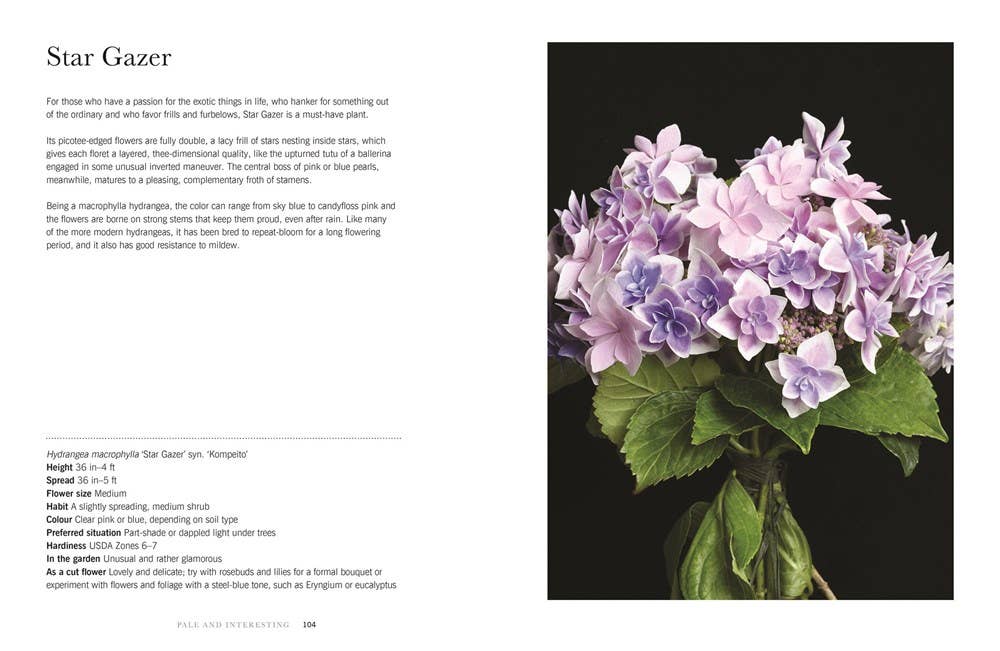 Hydrangeas: Beautiful Varieties for Home & Garden - Chatsworth Boutique