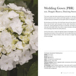 Hydrangeas: Beautiful Varieties for Home & Garden - Chatsworth Boutique