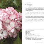 Hydrangeas: Beautiful Varieties for Home & Garden - Chatsworth Boutique