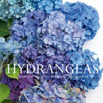 Hydrangeas: Beautiful Varieties for Home & Garden - Chatsworth Boutique
