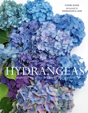 Hydrangeas: Beautiful Varieties for Home & Garden - Chatsworth Boutique