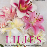 Lilies: Beautiful Varieties for Home & Garden - Chatsworth Boutique