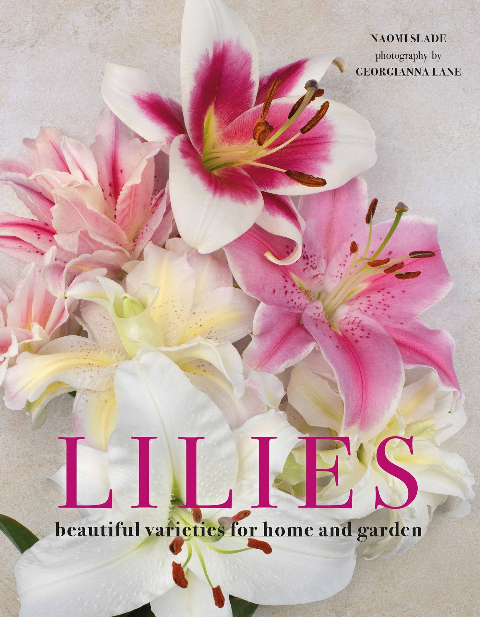Lilies: Beautiful Varieties for Home & Garden - Chatsworth Boutique