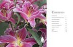 Lilies: Beautiful Varieties for Home & Garden - Chatsworth Boutique