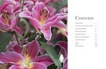 Lilies: Beautiful Varieties for Home & Garden - Chatsworth Boutique