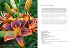 Lilies: Beautiful Varieties for Home & Garden - Chatsworth Boutique