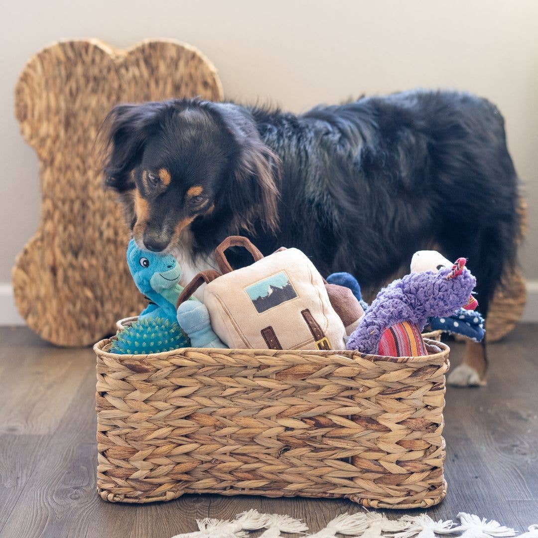 Loxley Pet Storage Basket - Chatsworth Boutique