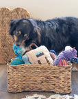 Loxley Pet Storage Basket - Chatsworth Boutique