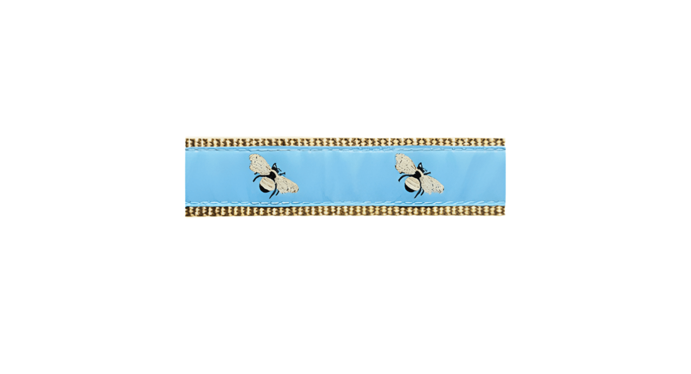 Lt. Blue Bee Dog Collar - Chatsworth Boutique