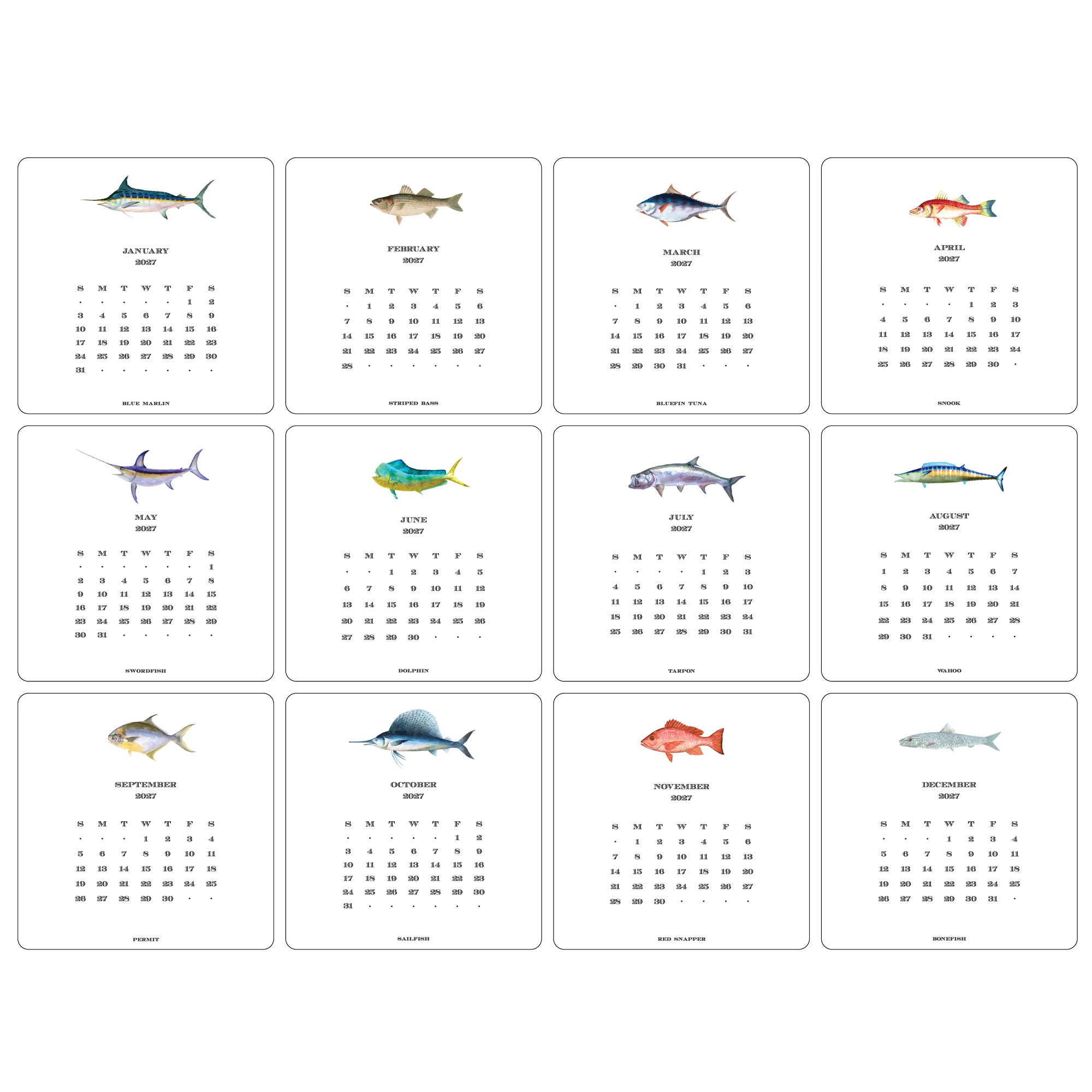 2027 Saltwater Fish Calendar, Maison de Papier - gamefish illustration