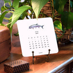 2027 Saltwater Fish Calendar, Maison de Papier - gamefish illustration