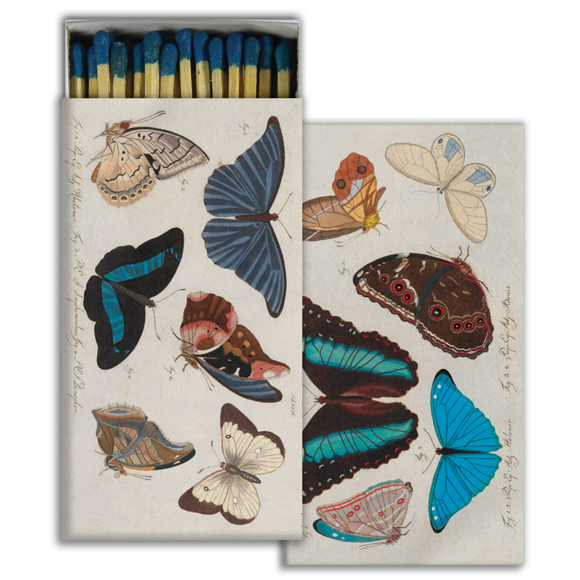 Matches - Blue Butterflies - Chatsworth Boutique