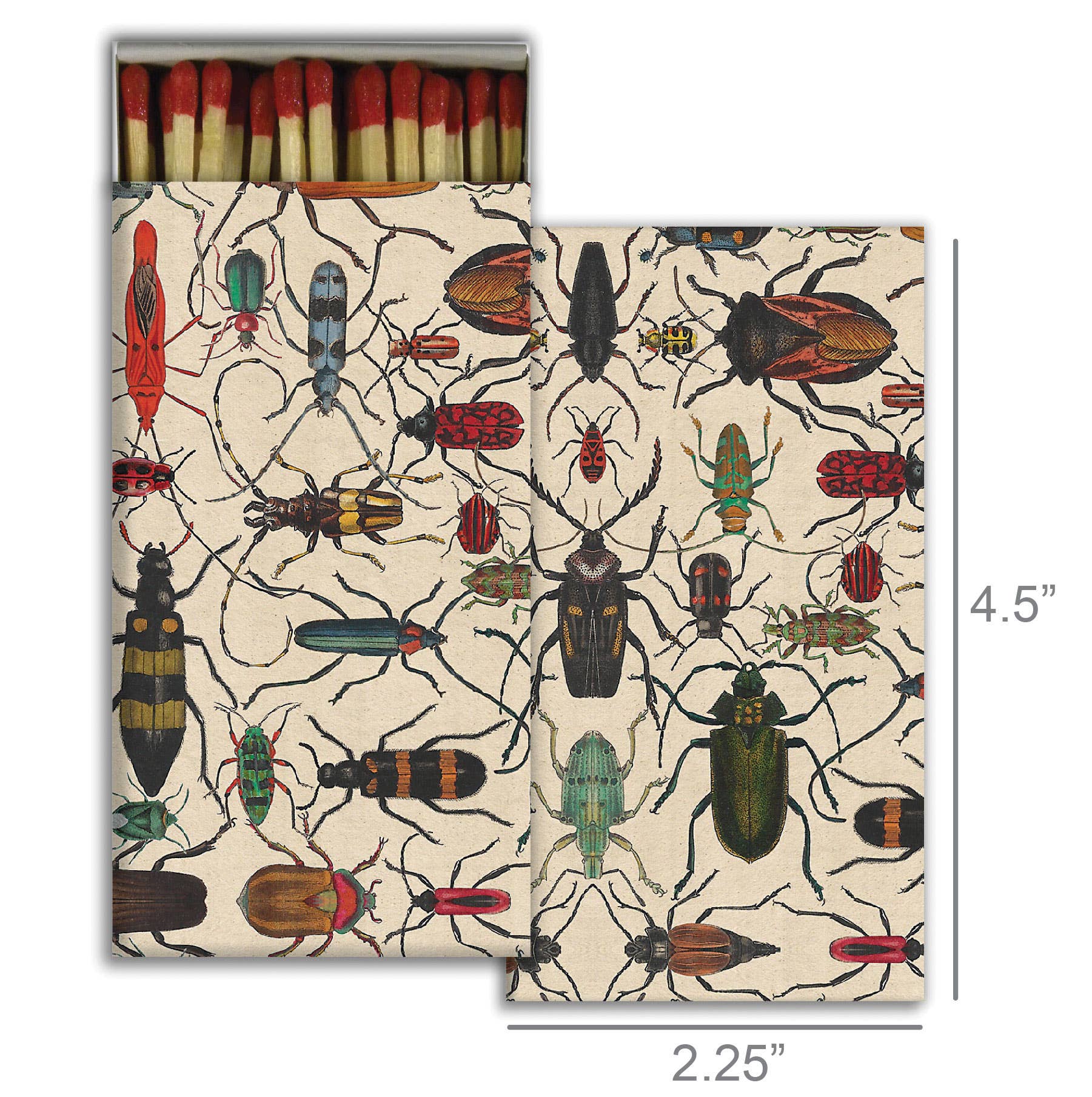 Matches - Mixed Beetles - Chatsworth Boutique