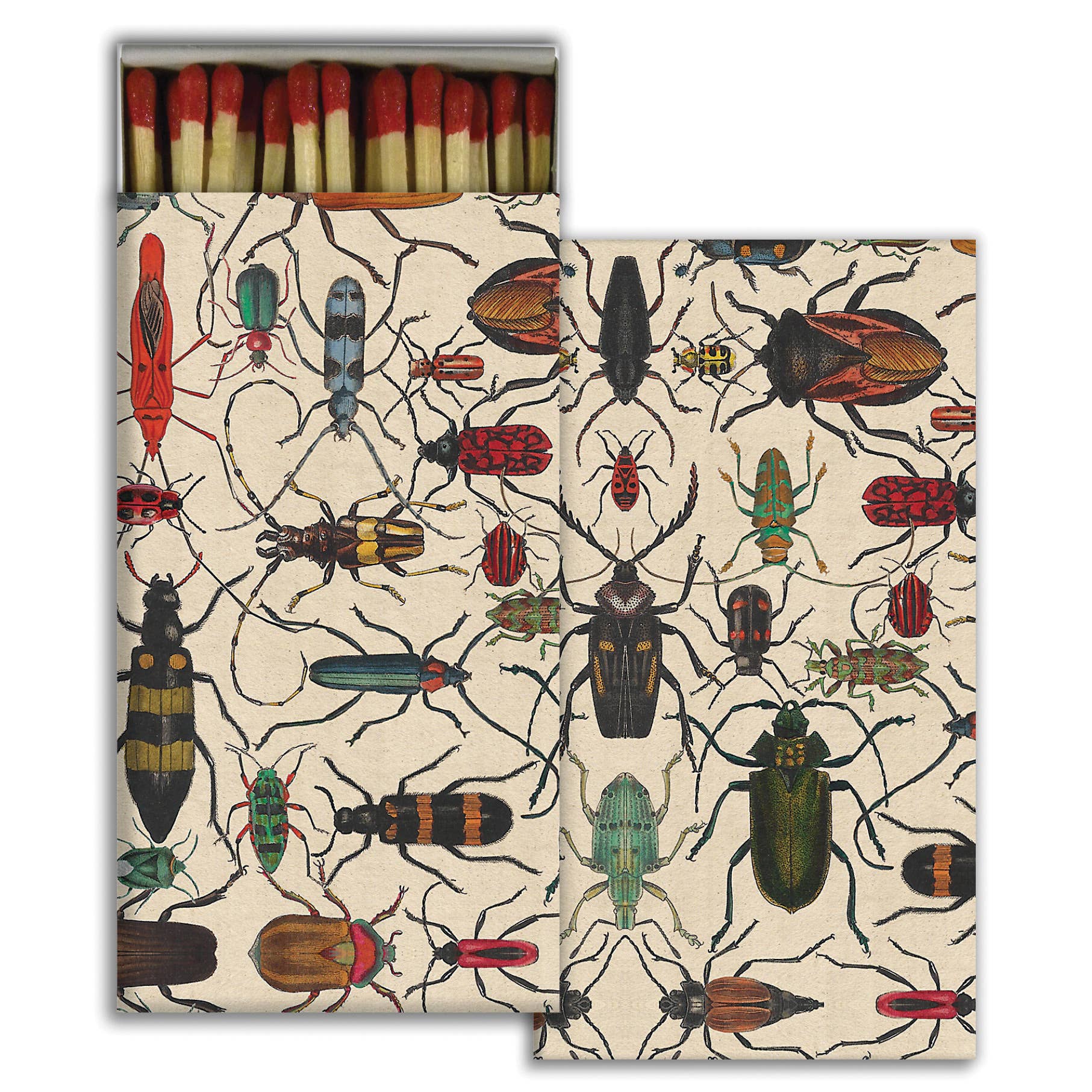 Matches - Mixed Beetles - Chatsworth Boutique