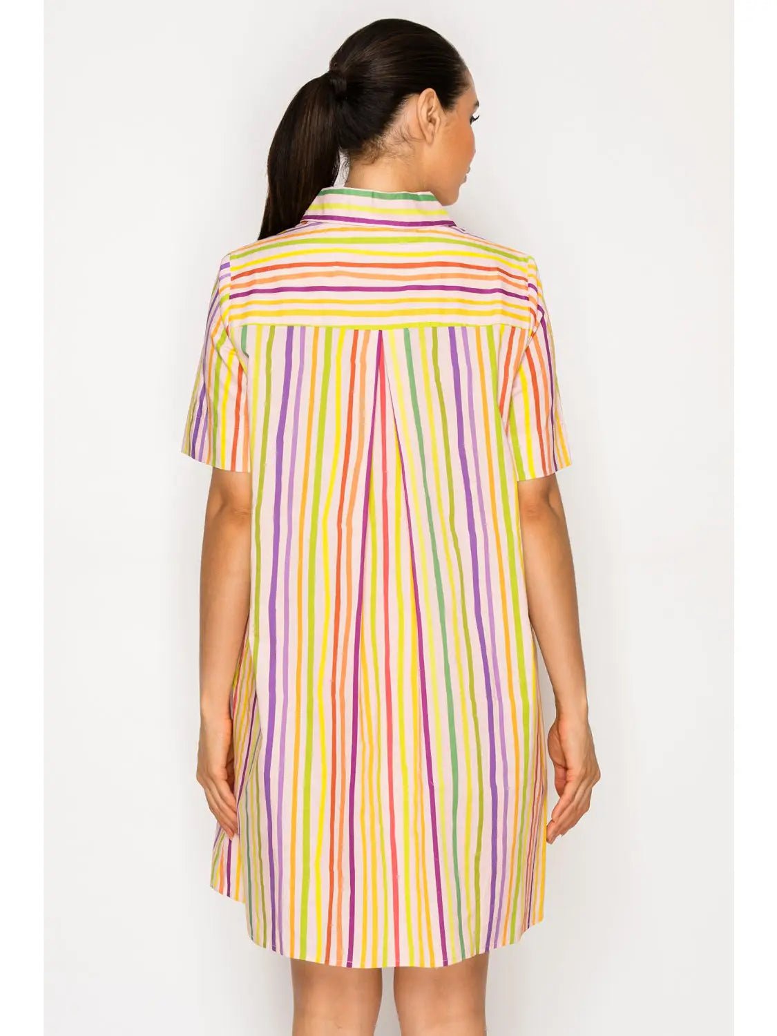Multi Stripe Collared Mini - Chatsworth Boutique