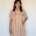 Multi Stripe Collared Mini - Chatsworth Boutique