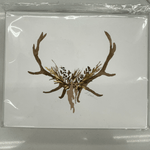 Notecard - Chatsworth Boutique