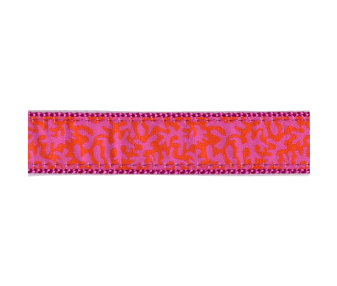 Orange Coral Dog Collar - Chatsworth Boutique