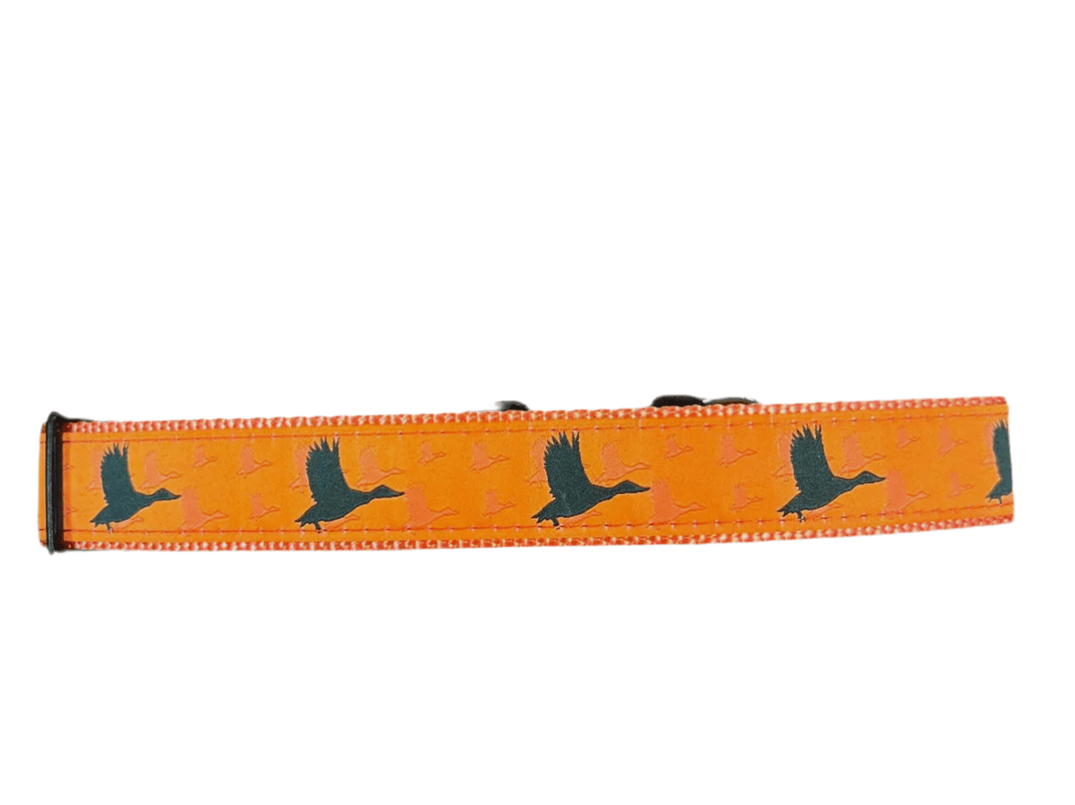 Orange Duck Dog Collar - Chatsworth Boutique