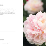 Peonies: Beautiful Varieties for Home & Garden - Chatsworth Boutique