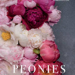 Peonies: Beautiful Varieties for Home & Garden - Chatsworth Boutique